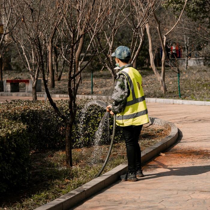 今天下午，我和雇主大姐出门去溜弯，看到小区里面有个绿化工人正在浇树。大姐就说可以