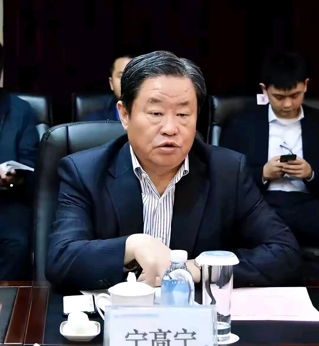 宁高宁，现任中国国家电网有限公司董事长，被誉为“中国“央企第一人”。他以卓越的管
