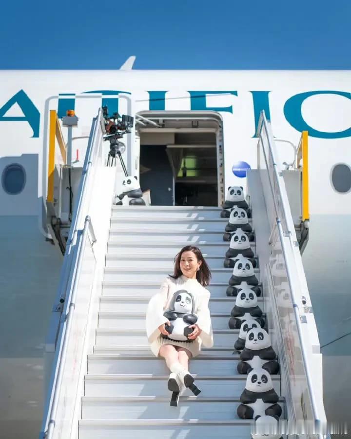 萌爆了🥰 2500隻熊貓坐飛機來香港了～