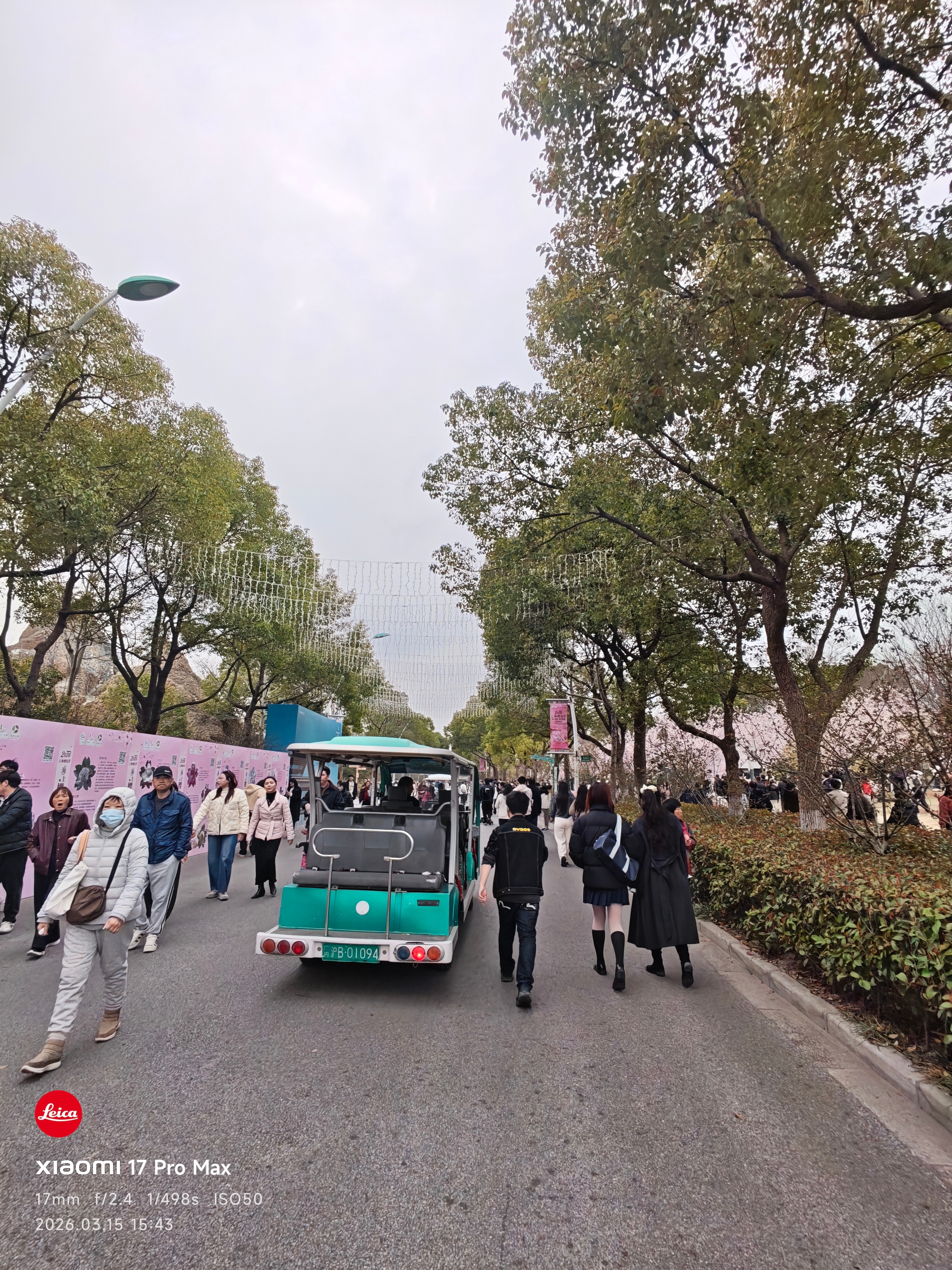 上海樱花节 顾村公园人真多，真热闹，道路都变停车场了懿桀