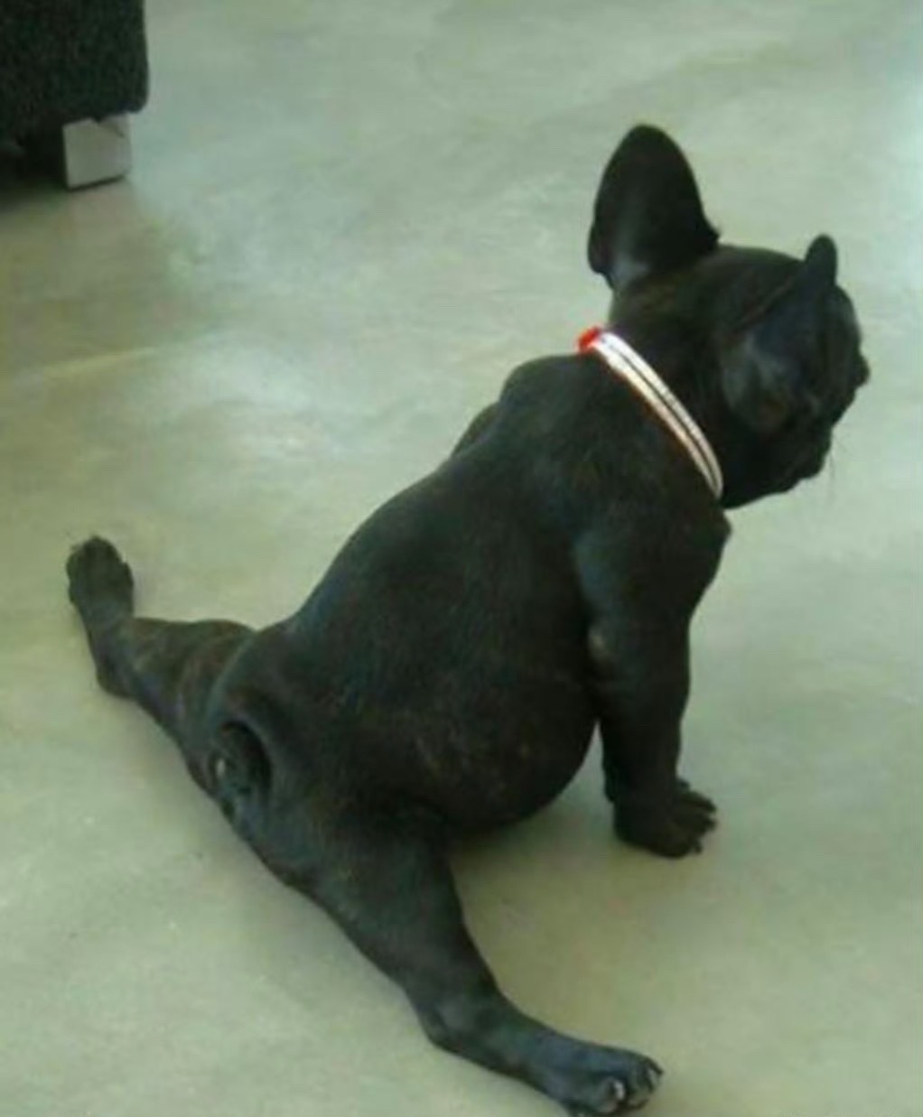 886应该算是吧[喵喵]内娱女明星留子味 ​​​