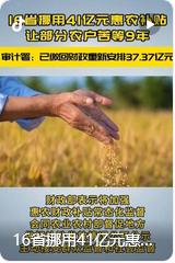 2025 年 12 月 22 日审计署披露的整改报告，16 省175县针对此前 