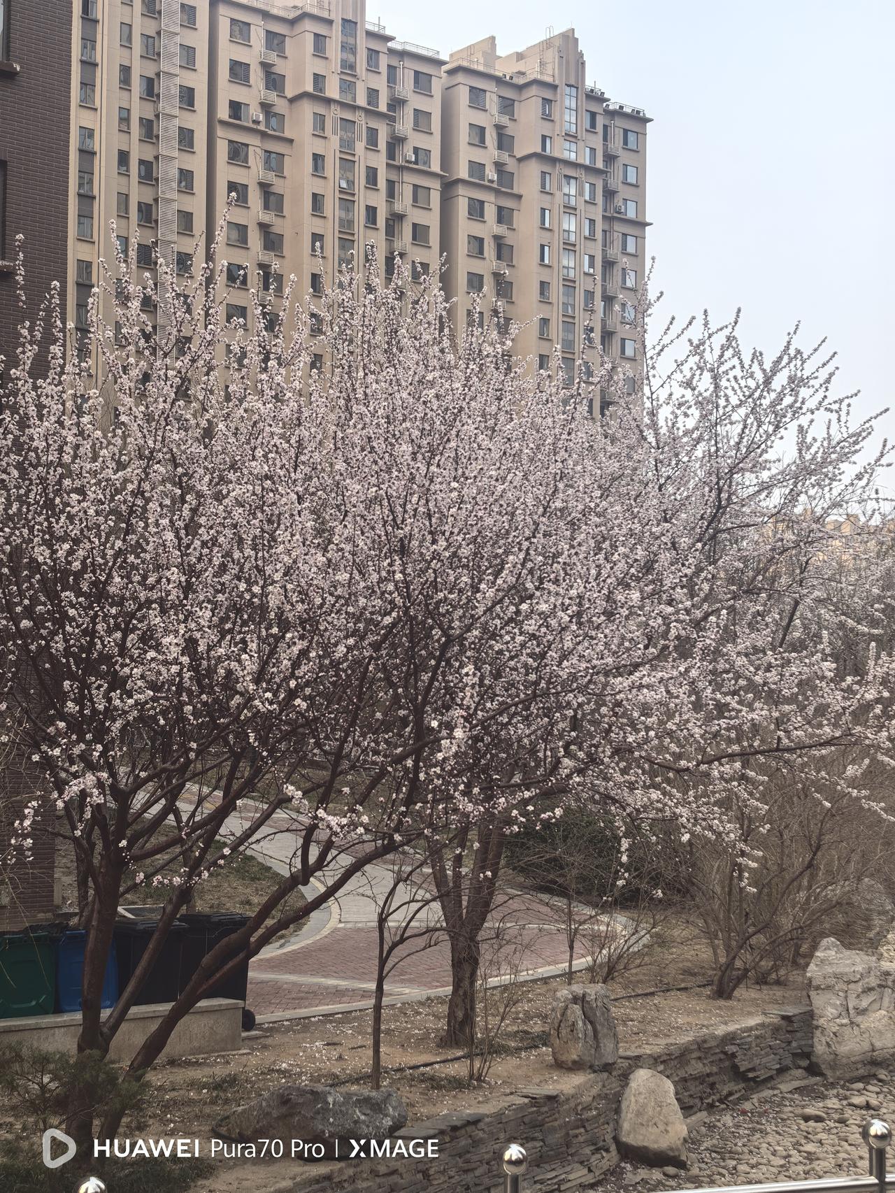 校长首先应该是一个优秀的老师，然后才是一名学校的管理者。如果校长都不能登台讲课，