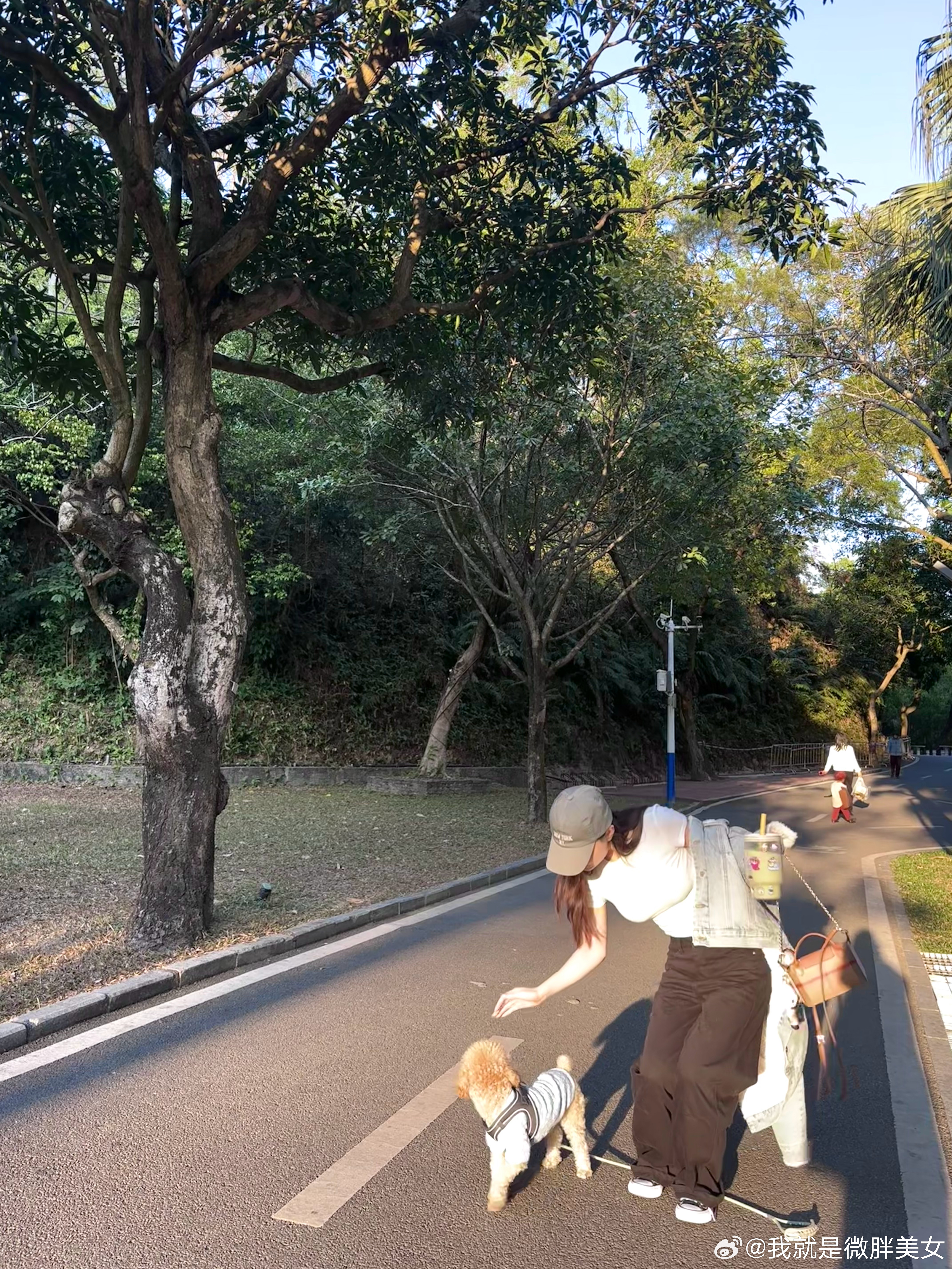 淡淡的就会顺顺的 珠海