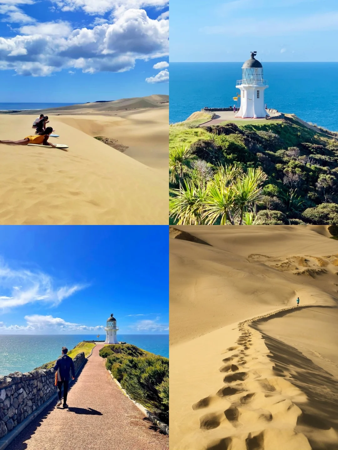 在新西兰北岛❗挖到1个0游客✨沙漠灯塔海湾