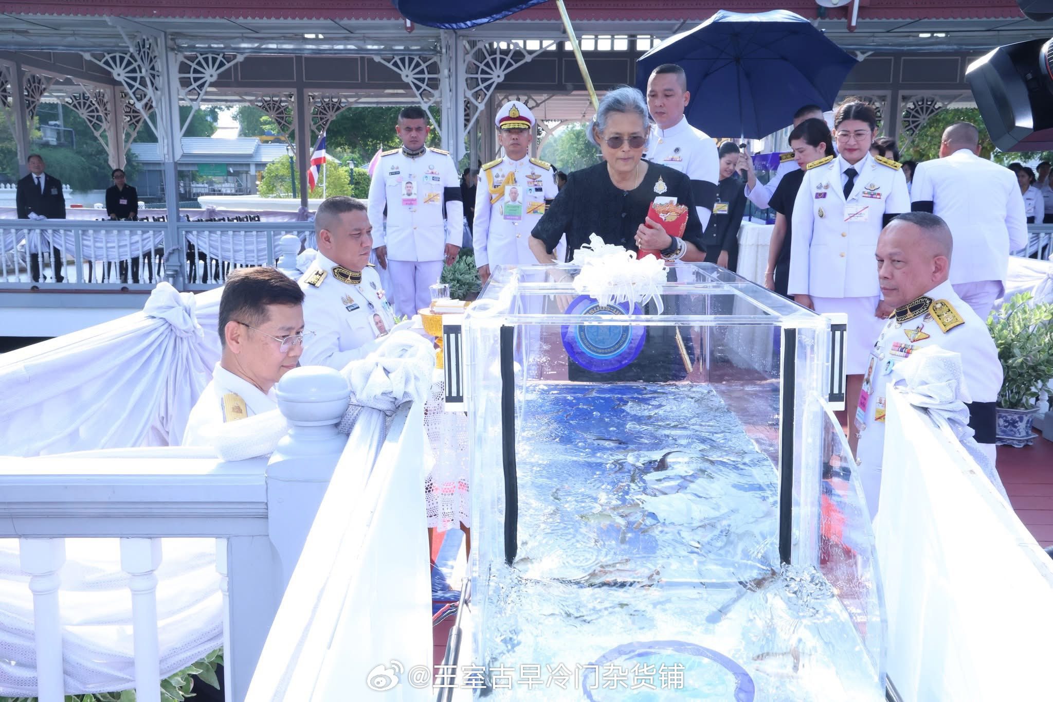 王室王室泰国王室诗琳通 2026年4月2日，诗丽吉亚陪同大婶出席71岁生日放生仪