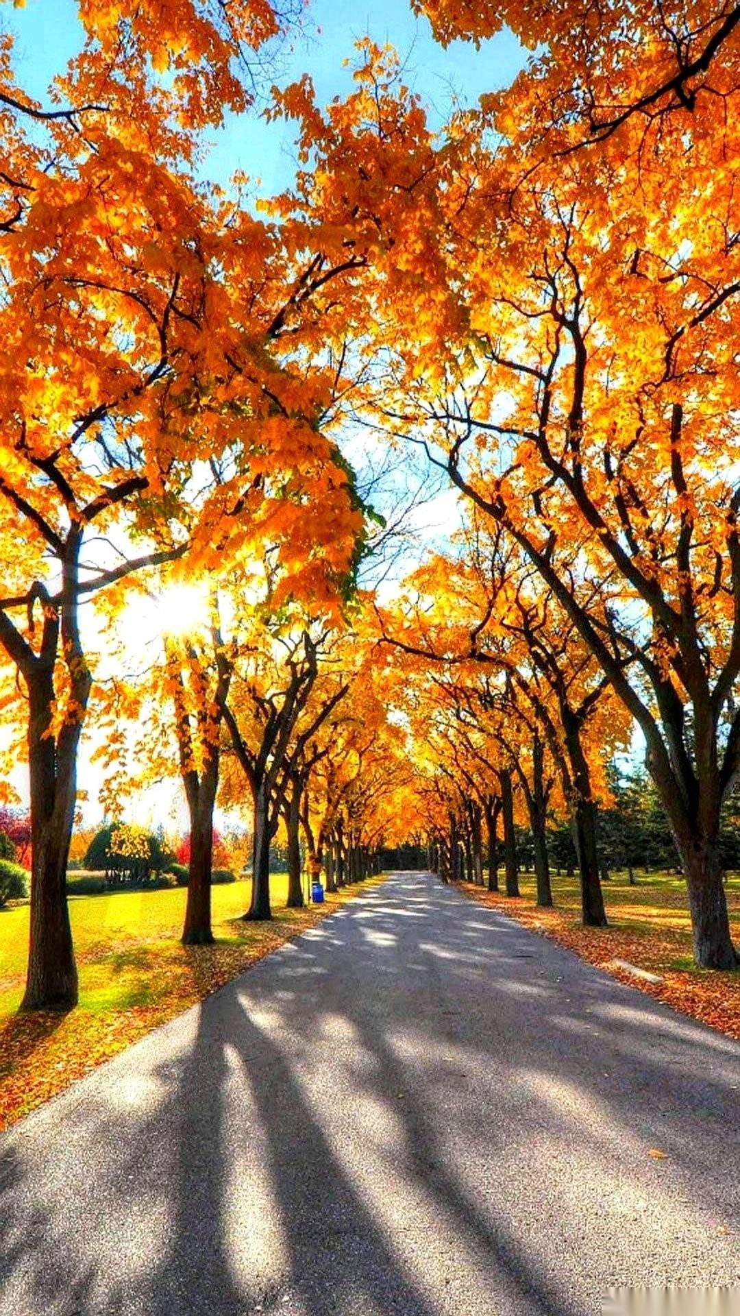 57岁，退休手续办完，他做的第一件事，就是关掉了手机铃声。
邻居在门口探头，扯着