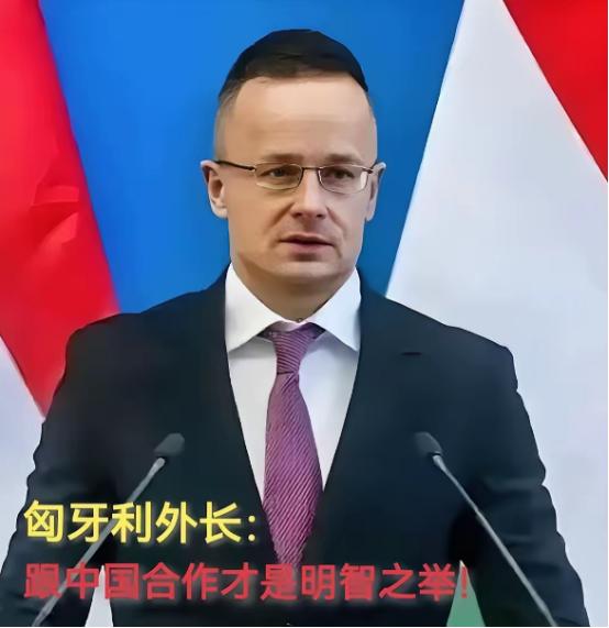 现在全欧洲最后悔的就是德国了吧！
 
要论欧洲谁跟中国合作最实在，匈牙利称第二没