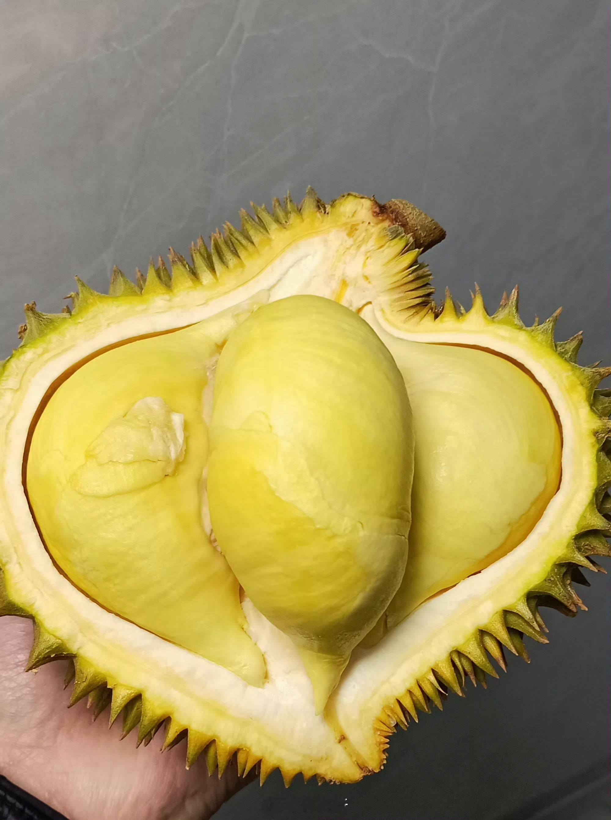 巴掌榴莲50多块的巴掌榴莲到底在哪买？线下根本没见过