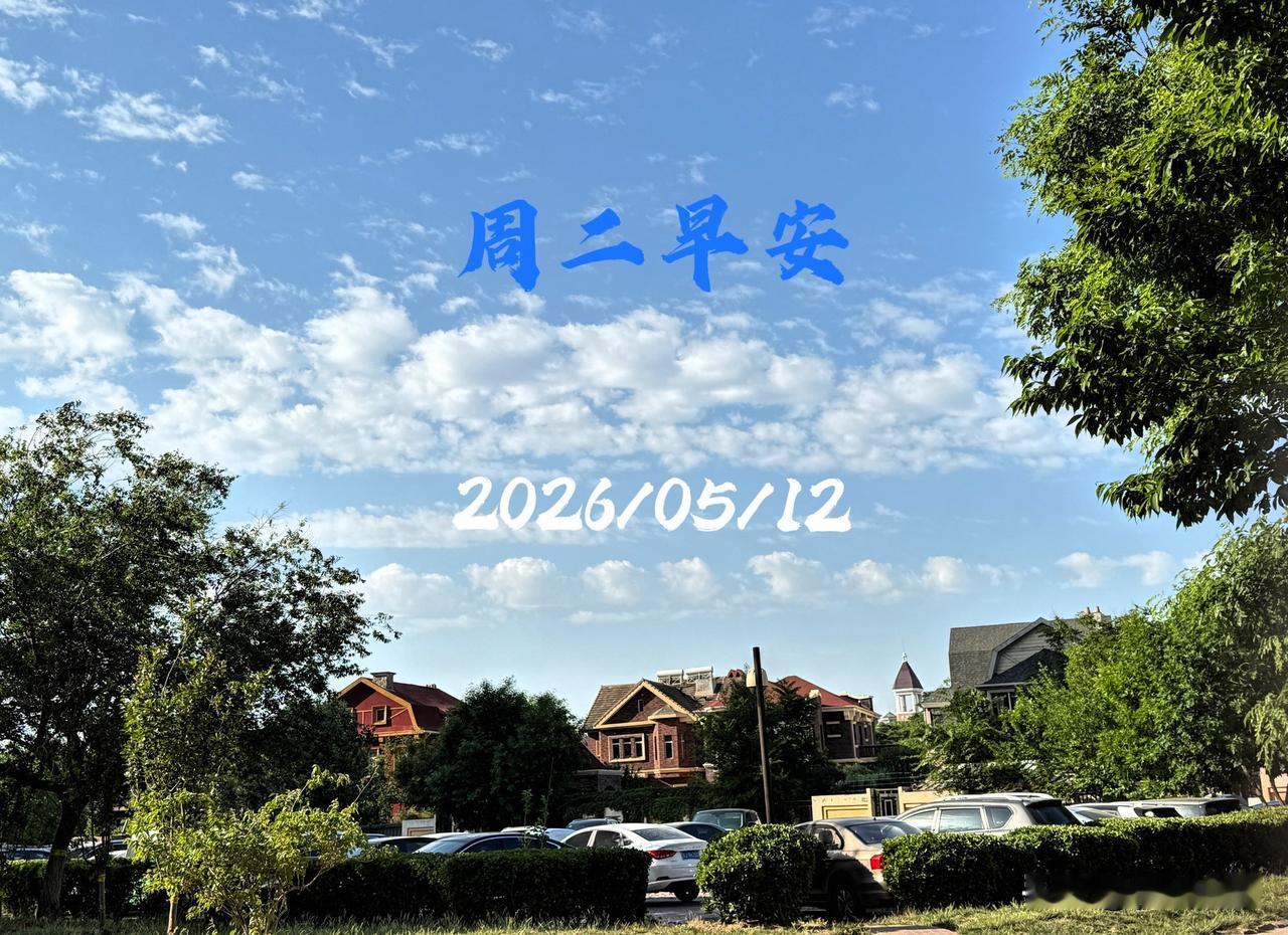 🍎²⁰²⁶/₀₅.₁₂人间清欢｜周二早安🍒🍊☕️
人间清欢，慢度时光

日