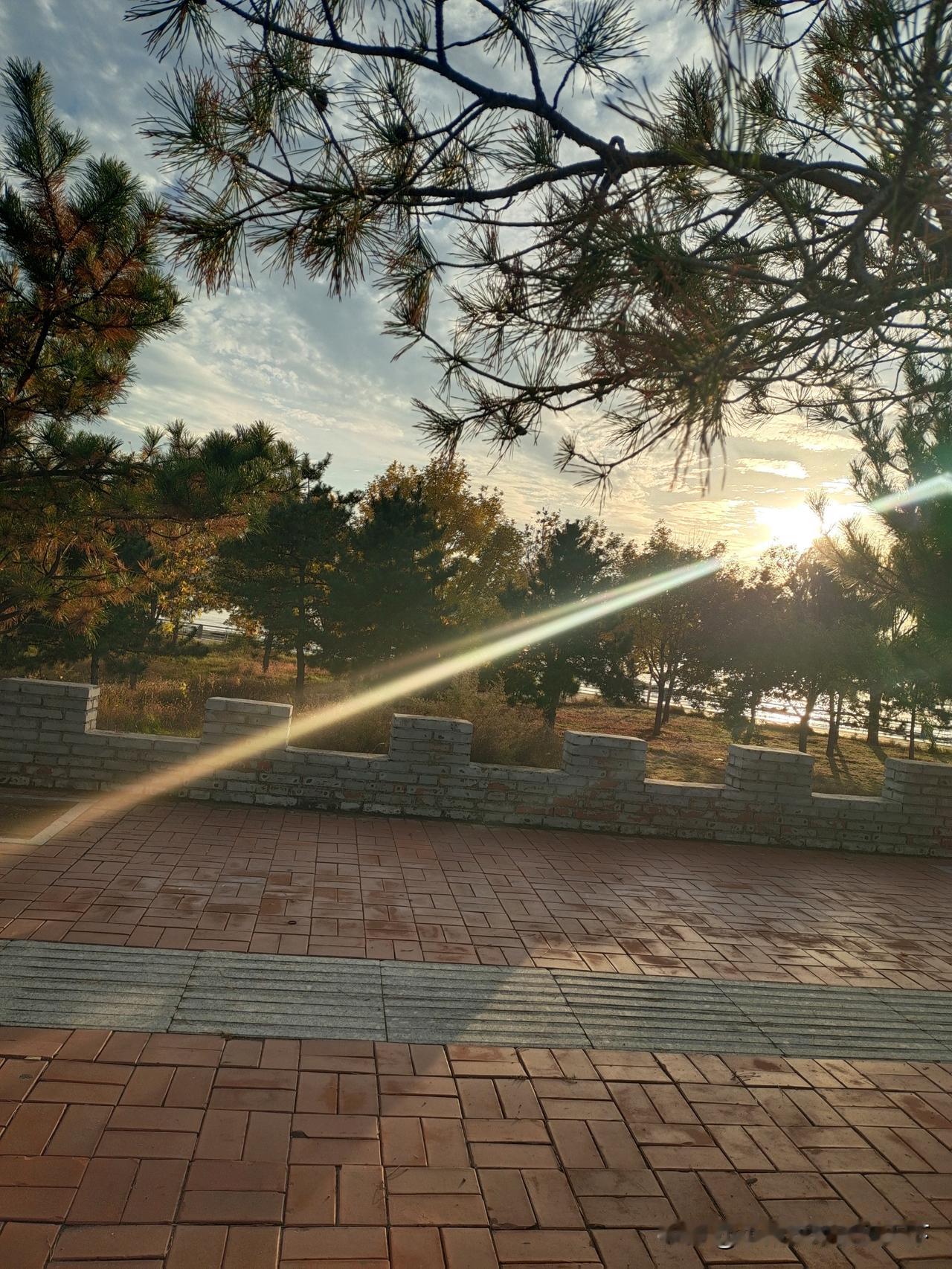 夕阳无限好啊！