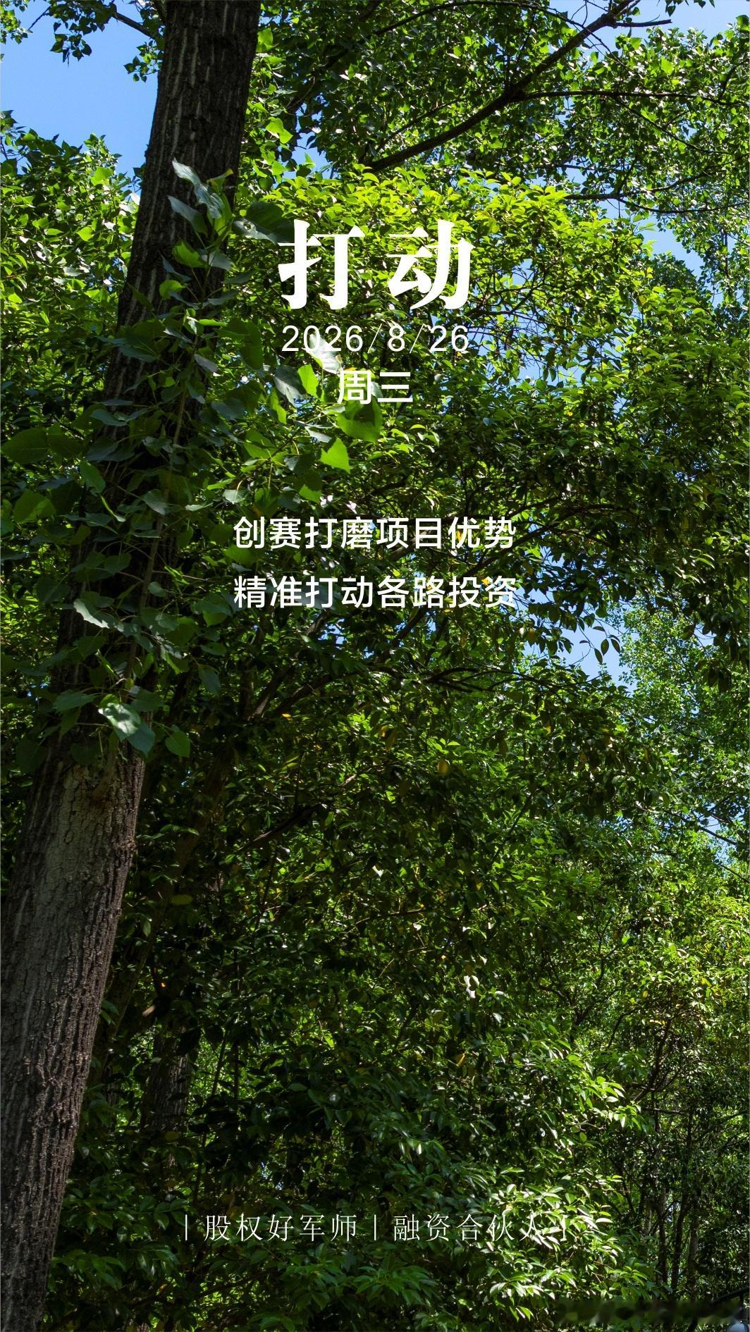 分享图片 ​​​