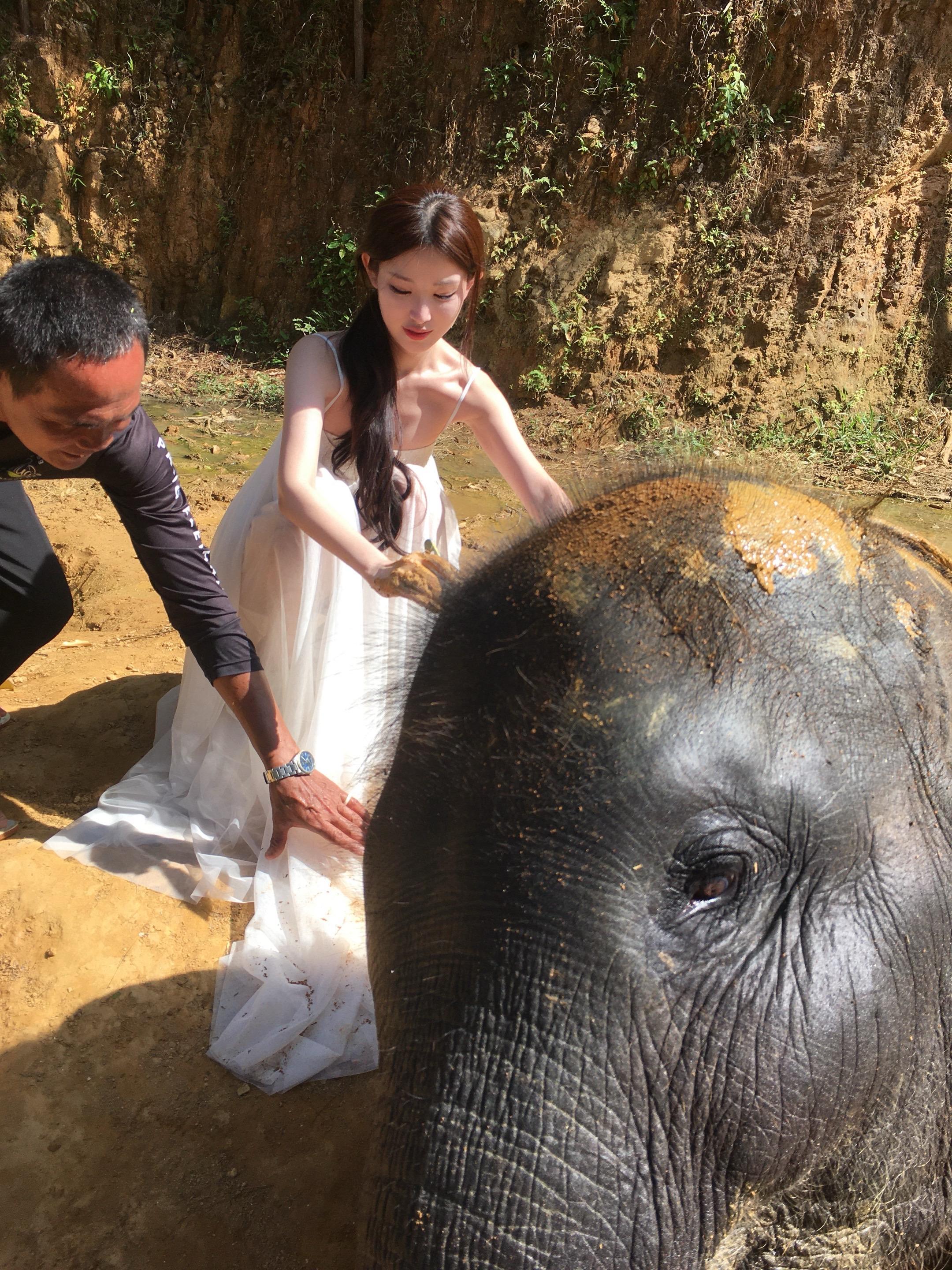 和大象在一起🐘