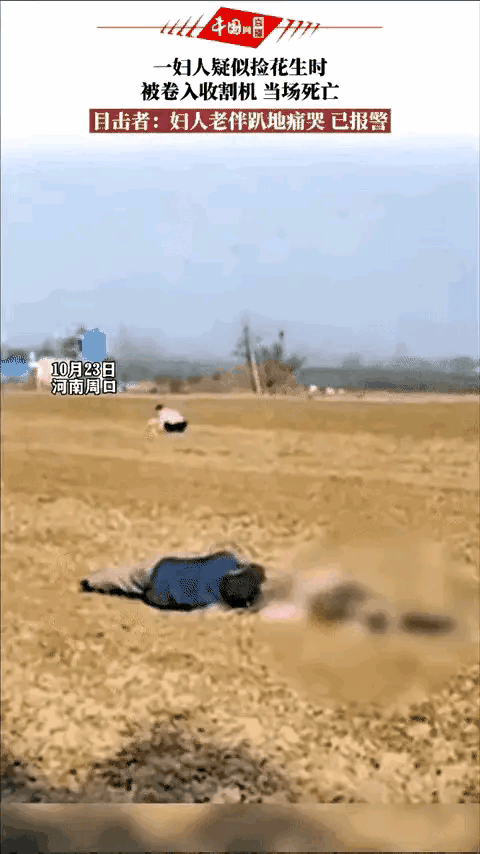 河南捡花生被卷身亡老人身世凄惨，两儿子今年也意外生亡……

10月23日，河南周