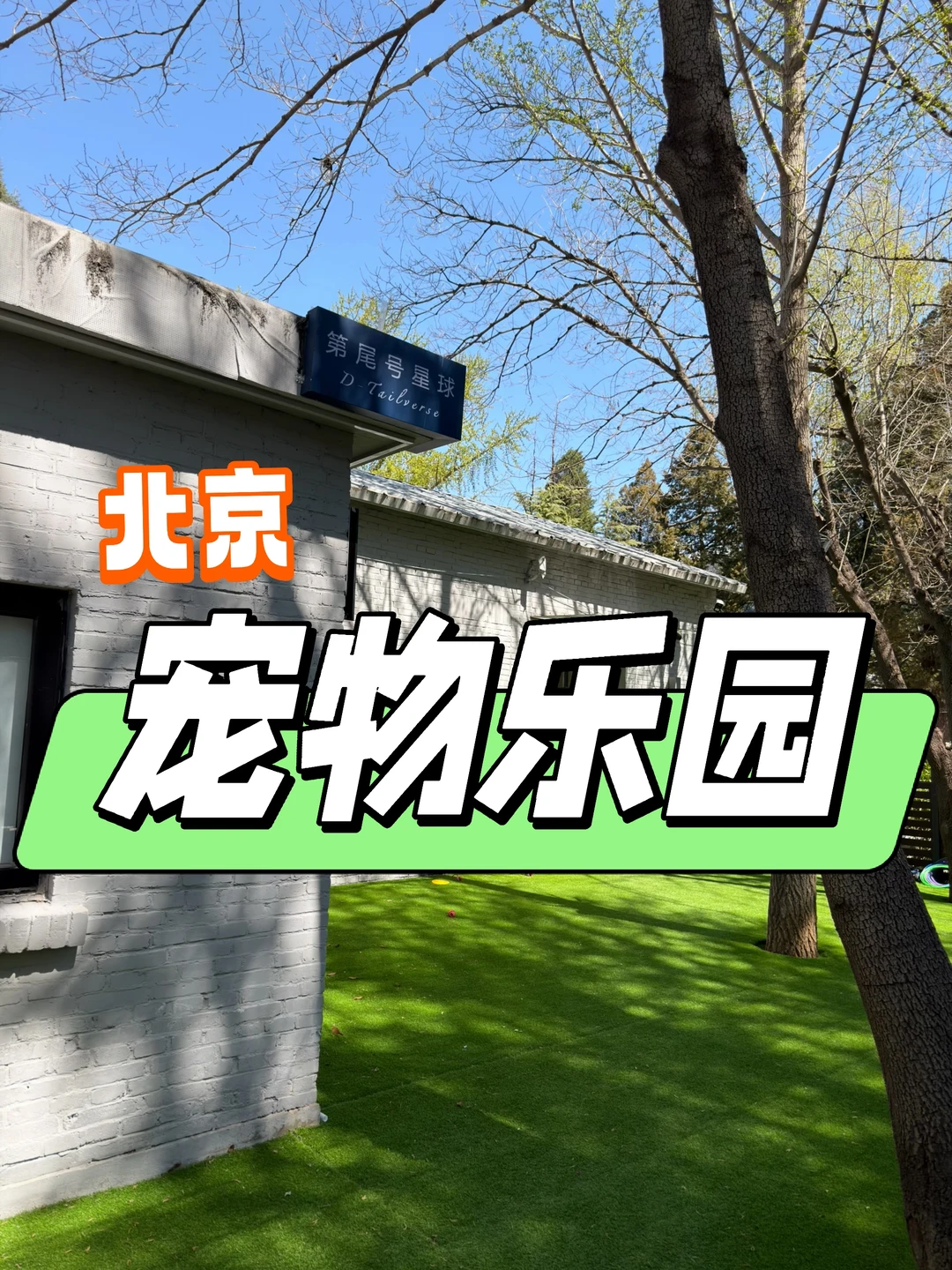 北京宝藏能游泳的宠物乐园！人少有陪玩