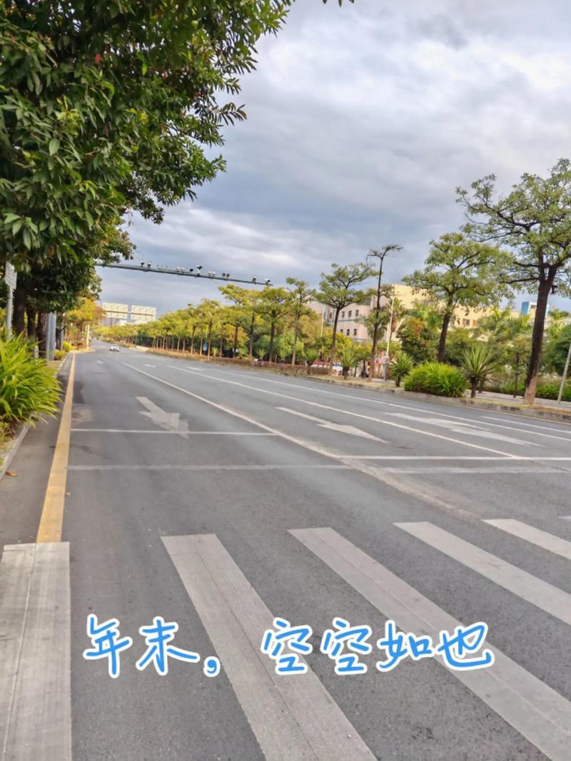 今天早饭后出去走走，围绕小区外围绕了好大一圈，所见四条街道都空荡荡的，车辆行人稀