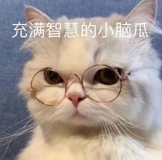 hi 下午好啊