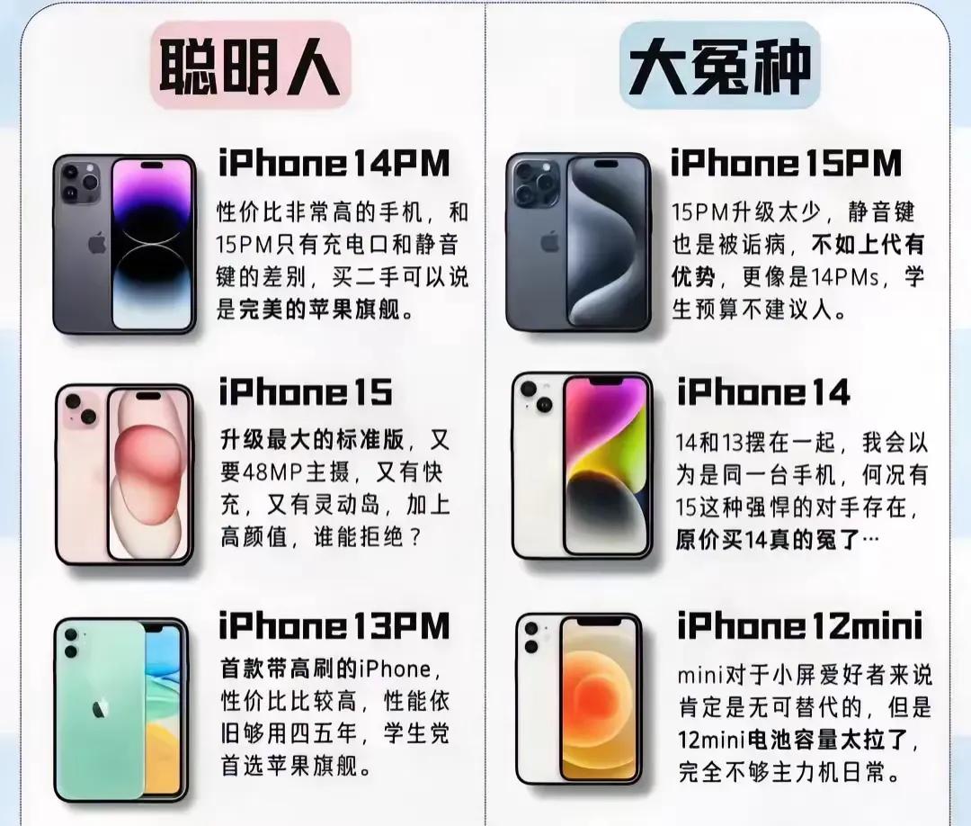 近几年的iPhone应该怎么选？一张图给总结出来了。
（13 PM图放错了，不过