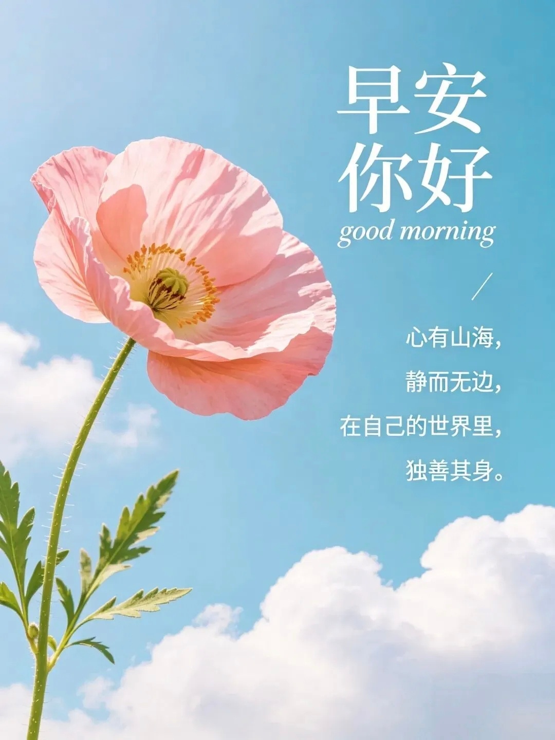 风雨是成长的必修课，所有坎坷历练，终会化作前行路上的底气。——早安微言正能量