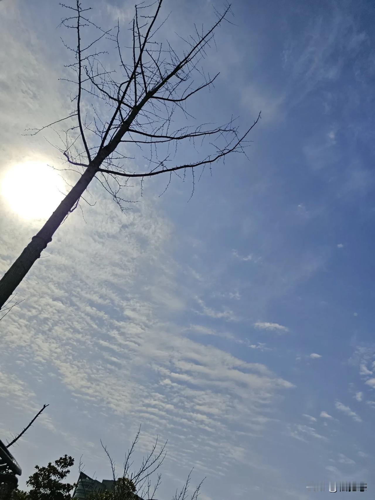 今日所见所闻炎日蓝天