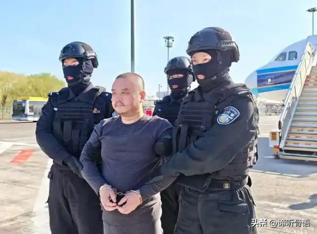 大快人心！

就在刚刚，据中国央视新闻报道：星期三（4月1日），在柬埔寨有关部门