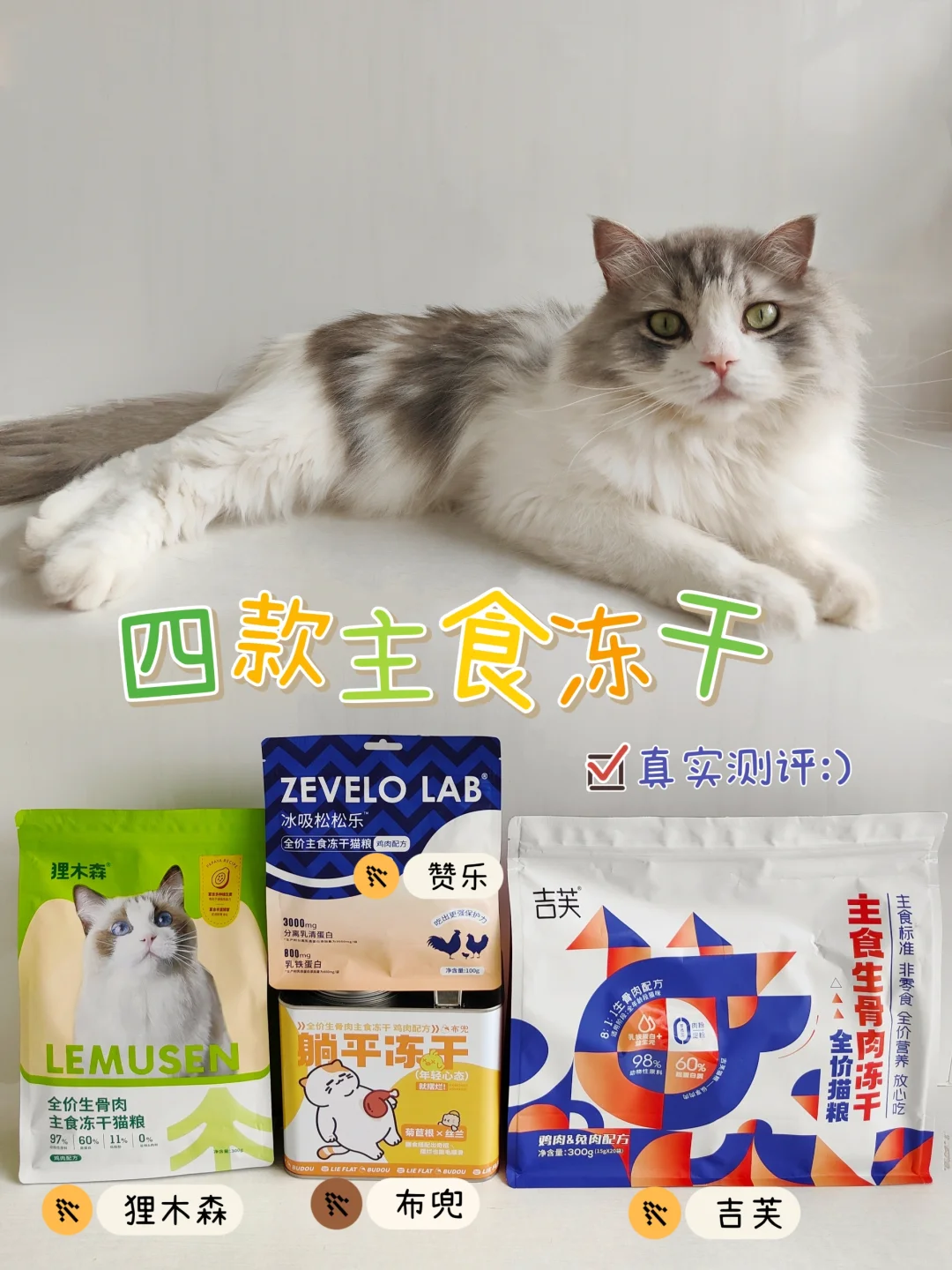 真实测评｜四款热门主食冻干