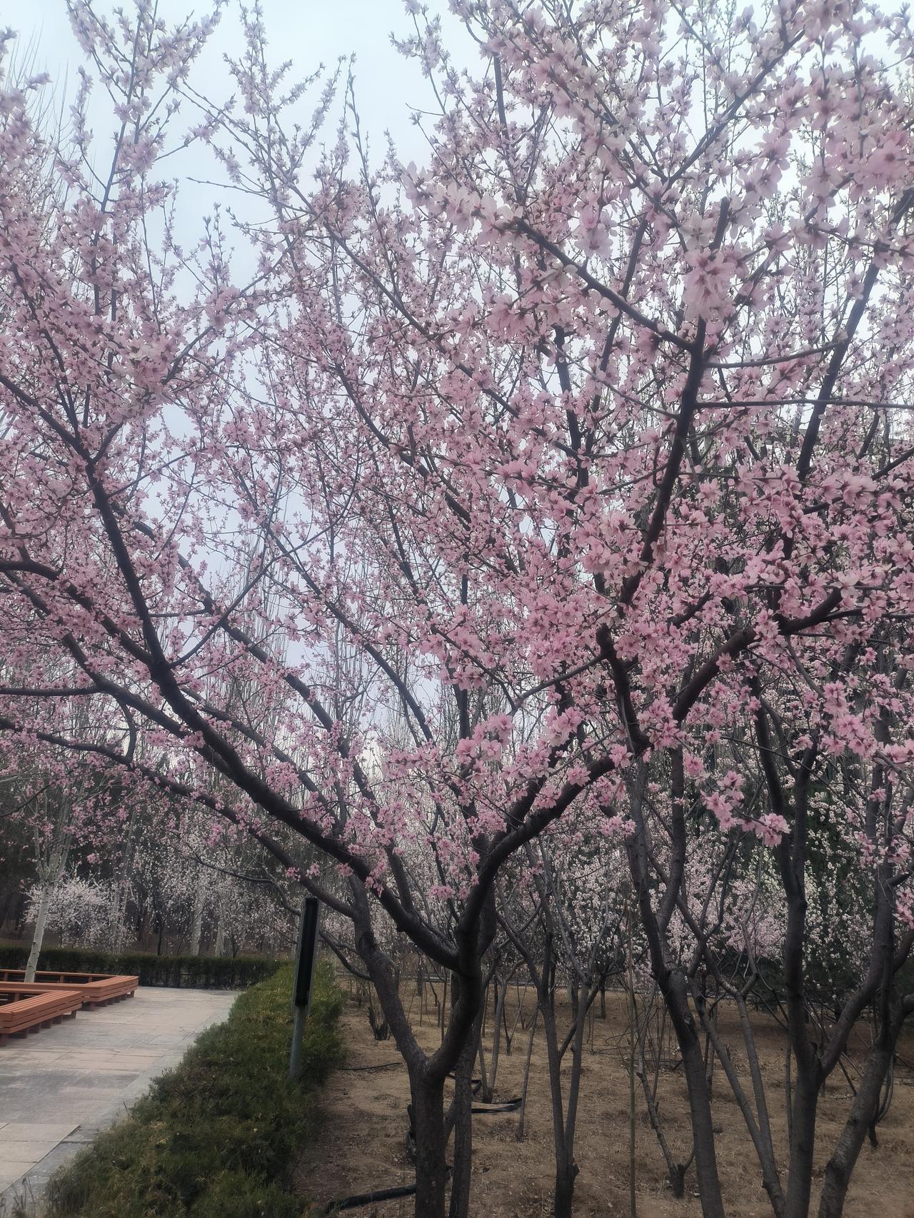 太阳又要升起了，又见春暖花开，普通人我们要做的是每一天都要花点心思活着。与其说追