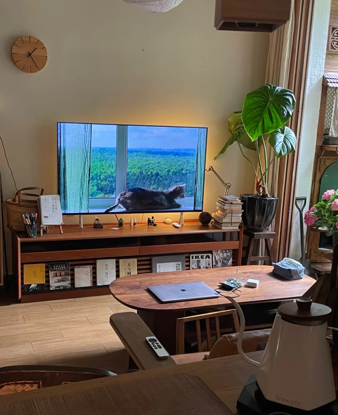 用了4年春天改造的一楼老破小