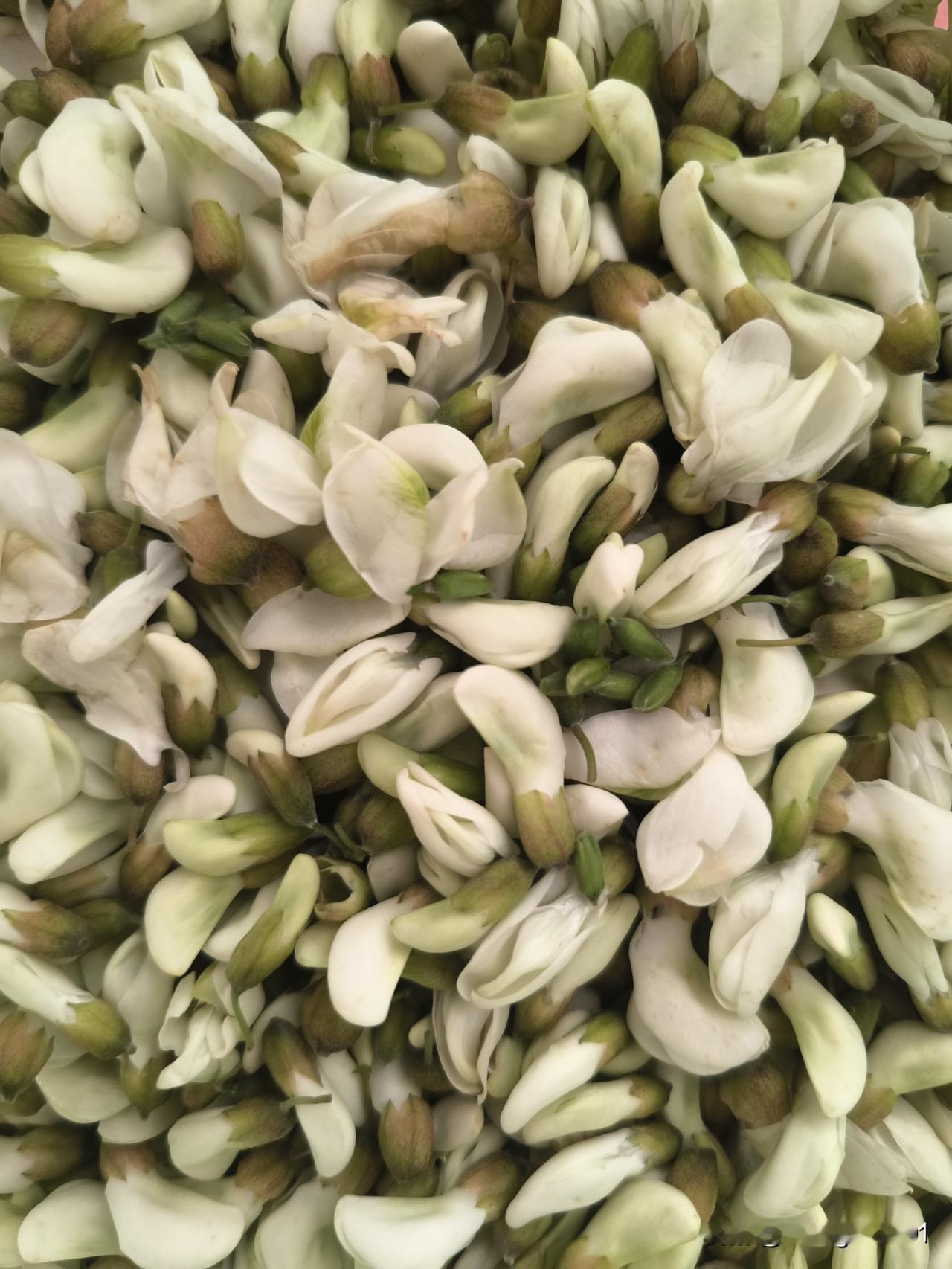 槐花鸡蛋饼
     槐花开了，在郊区钓鱼开车路过槐花树下，难以抵挡那阵阵槐花香