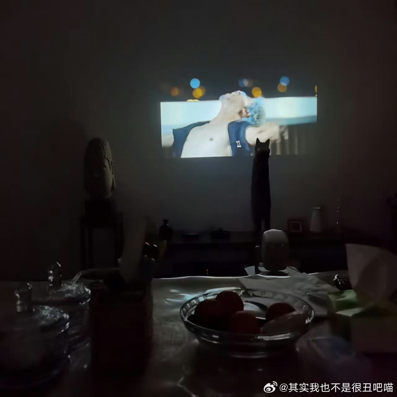 49573【丑猫】瘦长鬼影 