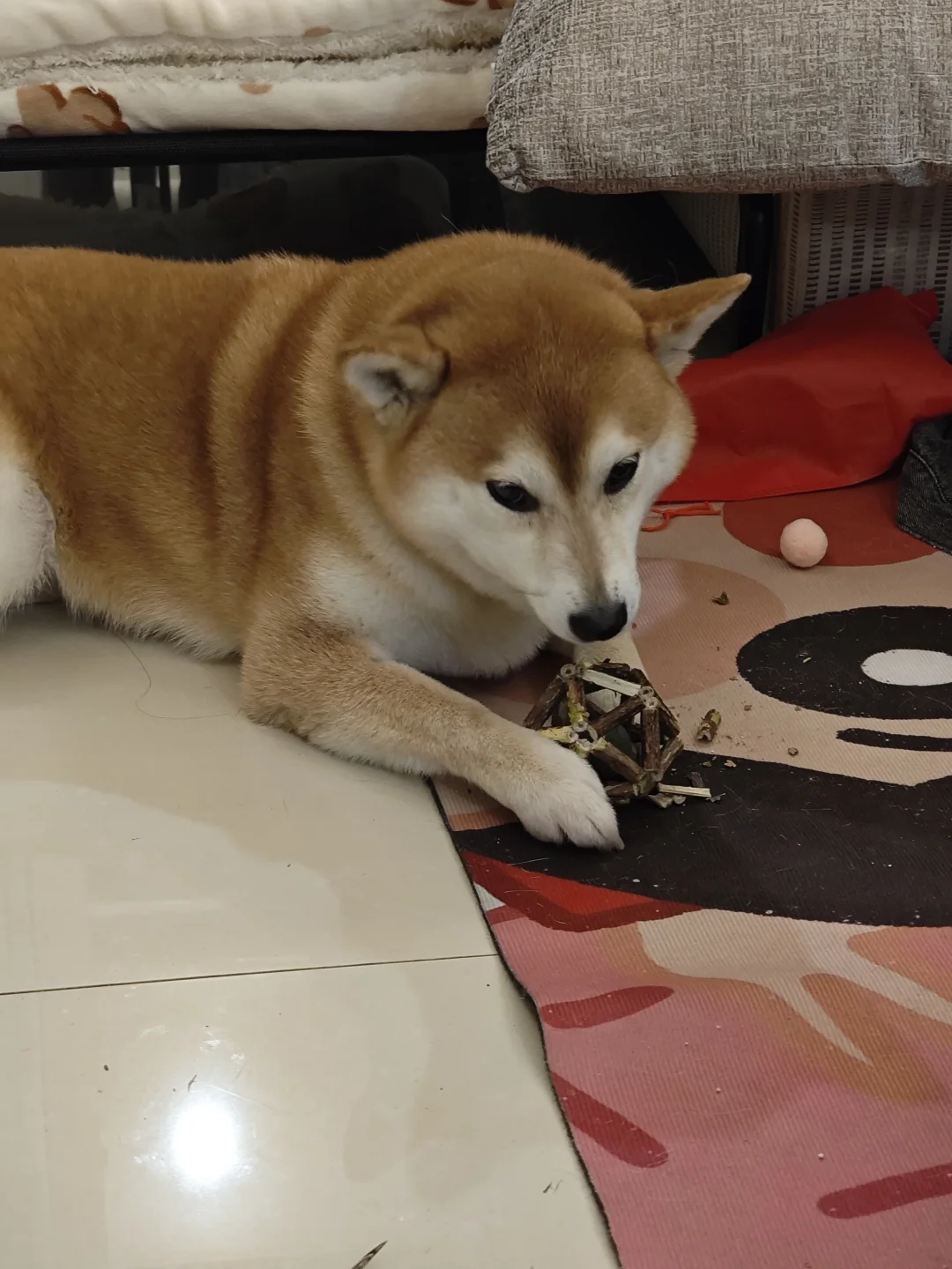 乐意玩点猫玩具