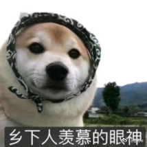 被这一网下去震撼到了 刚撒完网还在旁边闲聊，谁知道收网的时候一下子就热闹起来，网