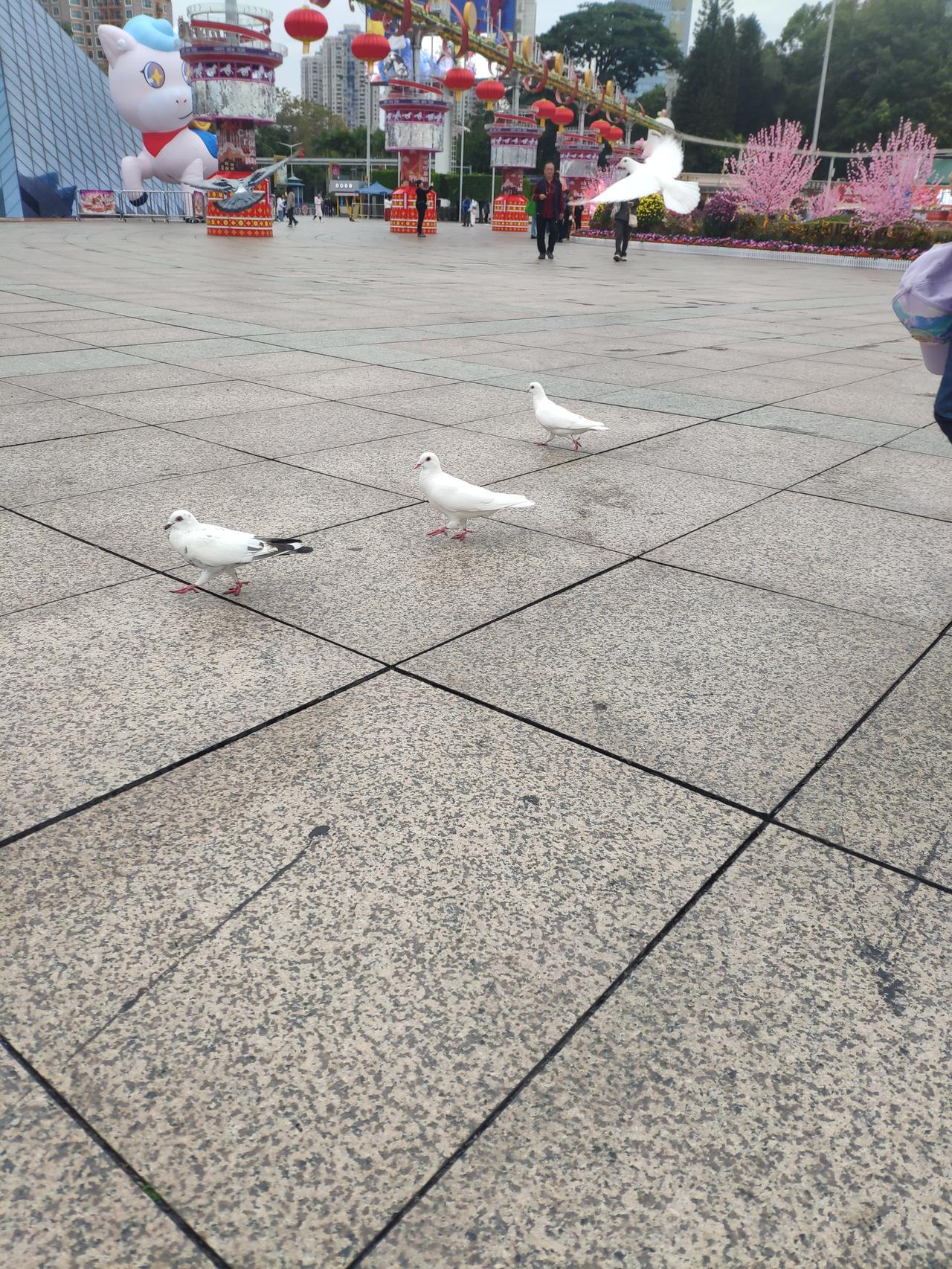 我真的刮到现金了，不骗大家。