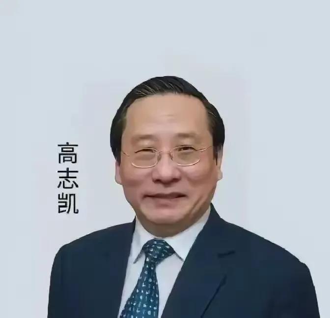高志凯教授在日内瓦又一次"杀疯了"：

面对美媒记者艾略特·艾布拉姆斯抛出来的"
