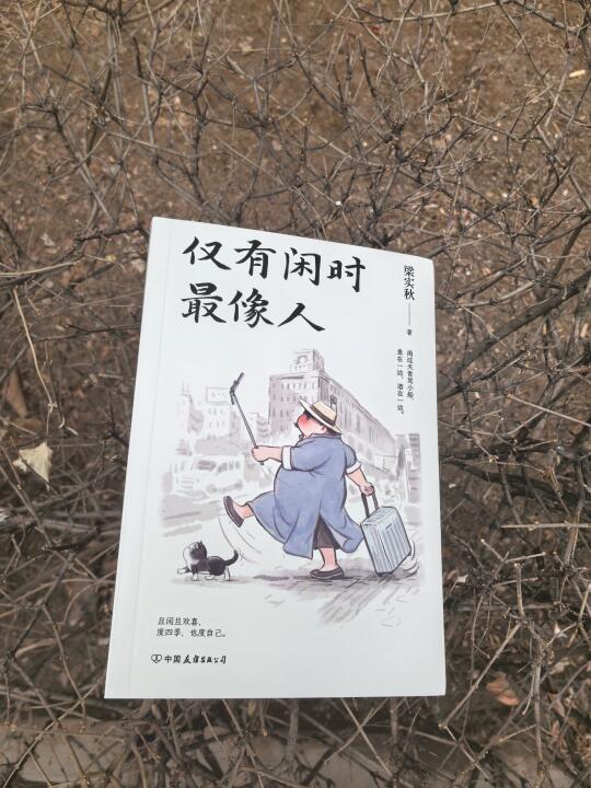 《仅有闲时最像人》：教你学会超绝松弛感