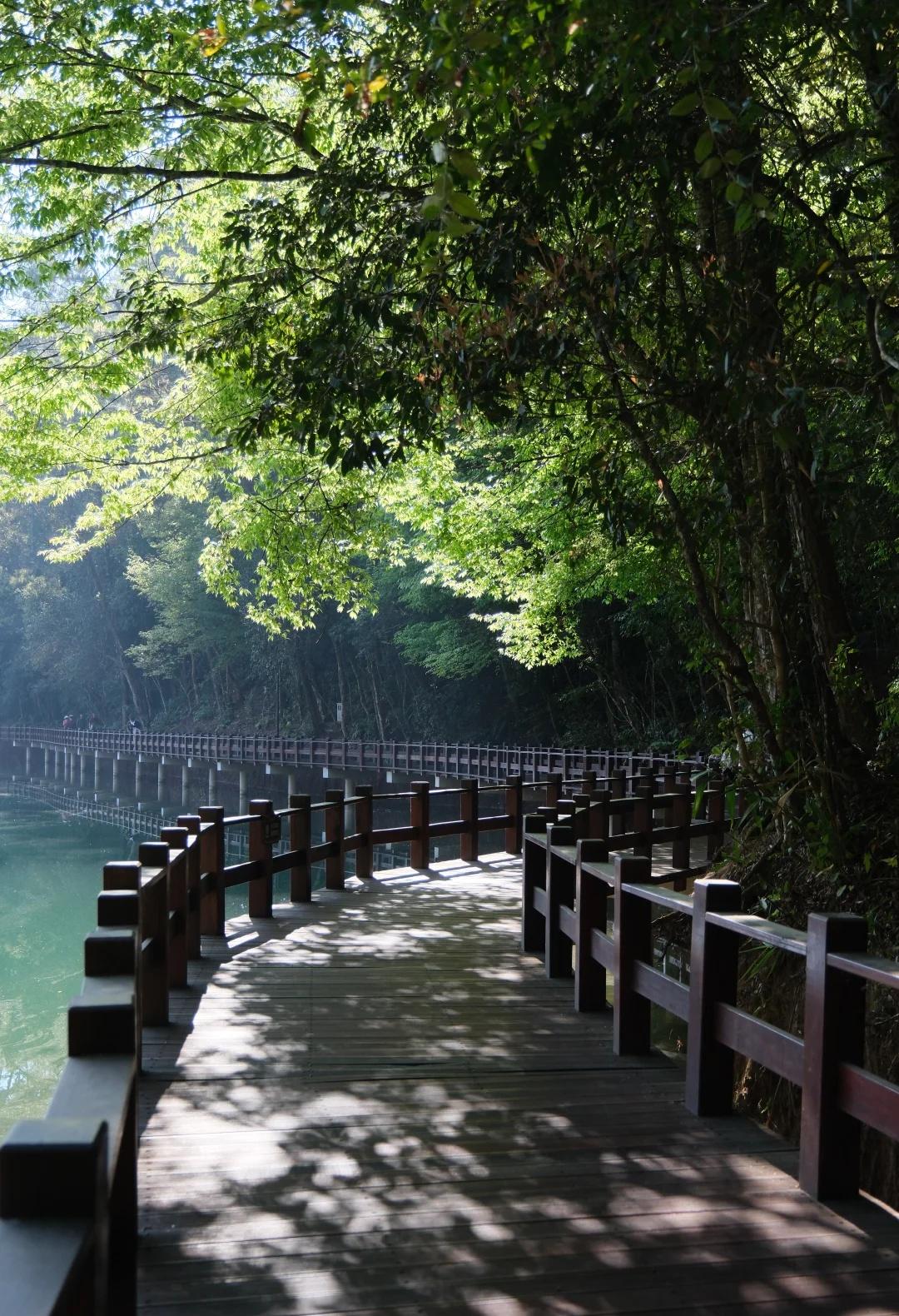 普洱梅子湖沿湖栈道晨跑🏃散步🚶天堂
最好是导航到图二：
普洱梅子湖度假酒店西