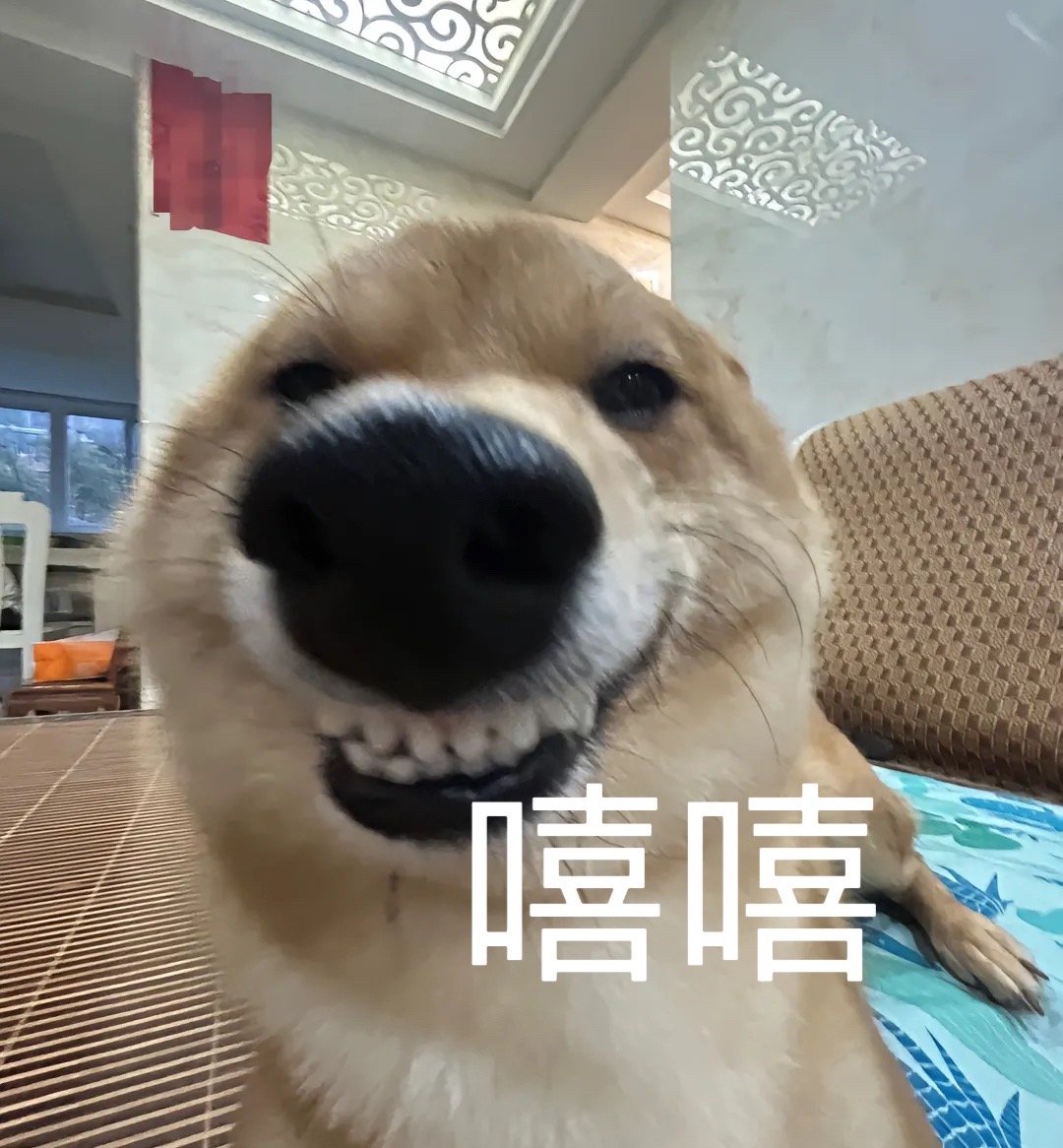贱贱的表情包2.0 ​​​