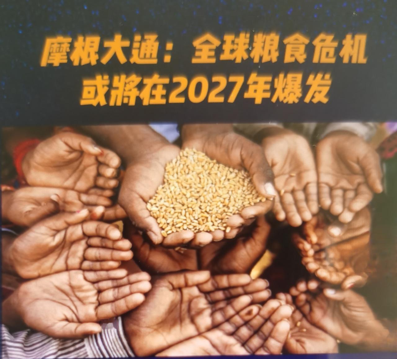 摩根大通报告预警2027年或将爆发粮食危机，‘摩根大通发布《粮食安全即国家安全：