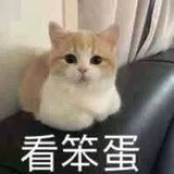 婉慧热品科技