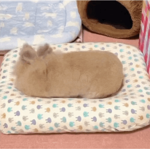 蛄蛹～ 