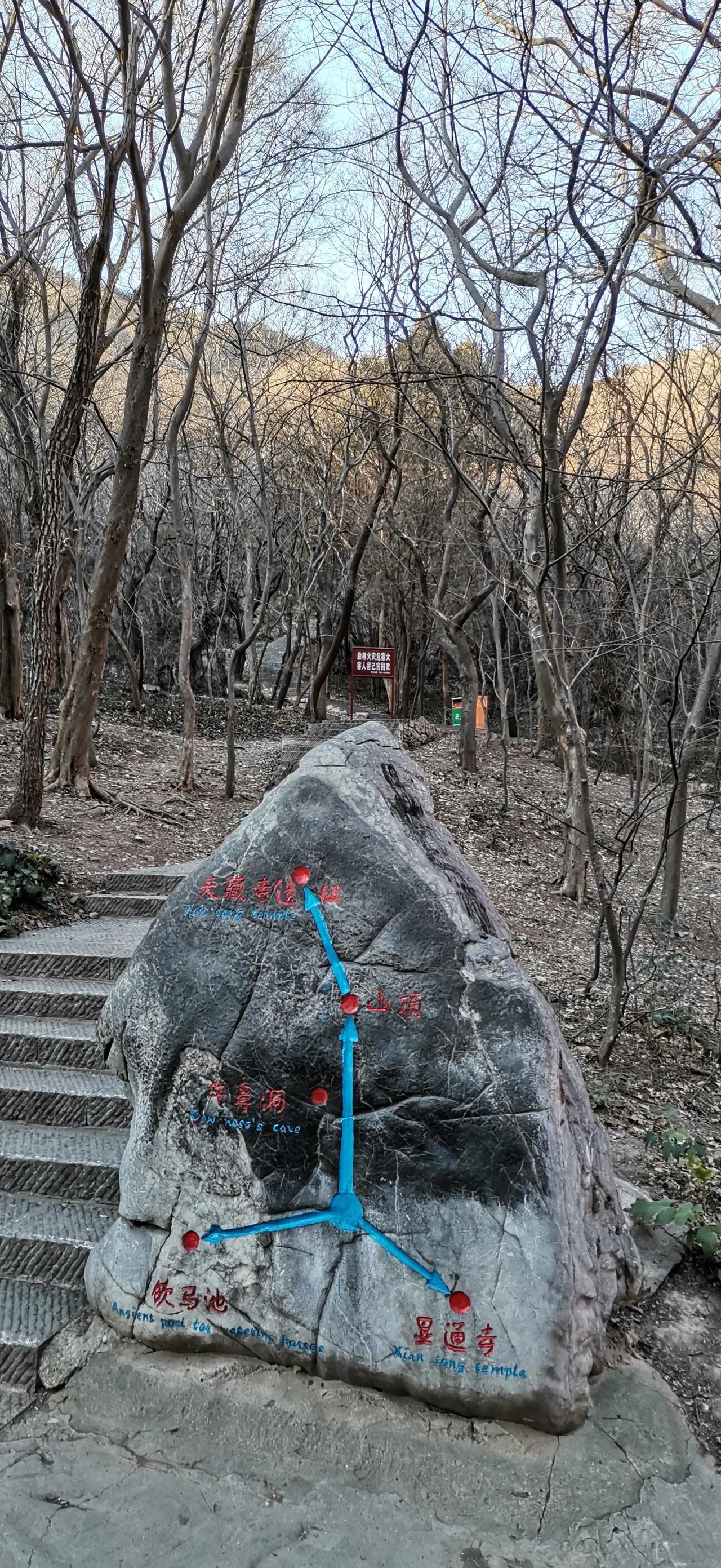 随手拍记录每一天。