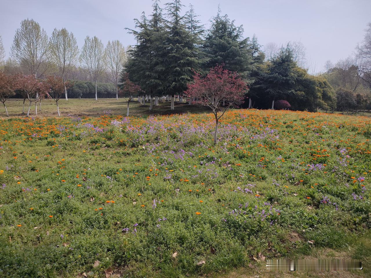 皖能电力（000543）未来前景稳健且确定性强，十分契合追求安稳、高分红、低波动