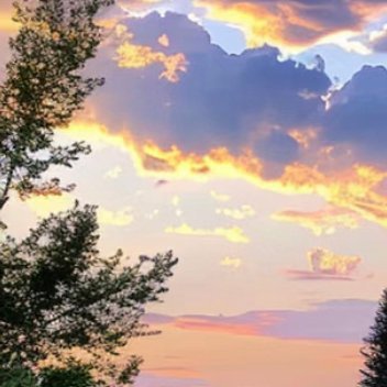 每日一善  每日一善   阳光信用 天行健，君子以自强不息；地势坤，君子以厚德载