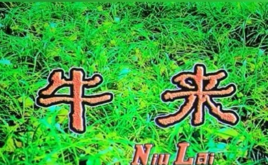笨鸟先飞铺背景，先抑后扬才成长!

这部影片巧妙借着飞鸟与耕牛形成鲜明对照，开篇