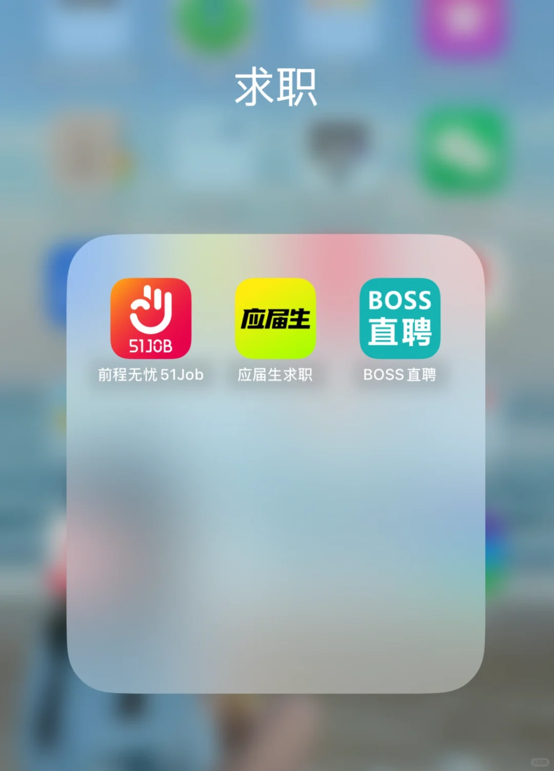 秋招我比HR还忙