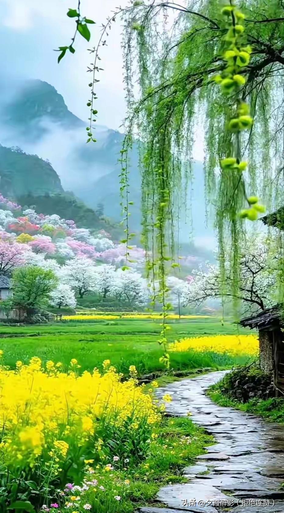 不求富贵荣华，不求事事圆满，
只愿一家老小，岁岁平安康健。
长辈安康无忧，子女顺