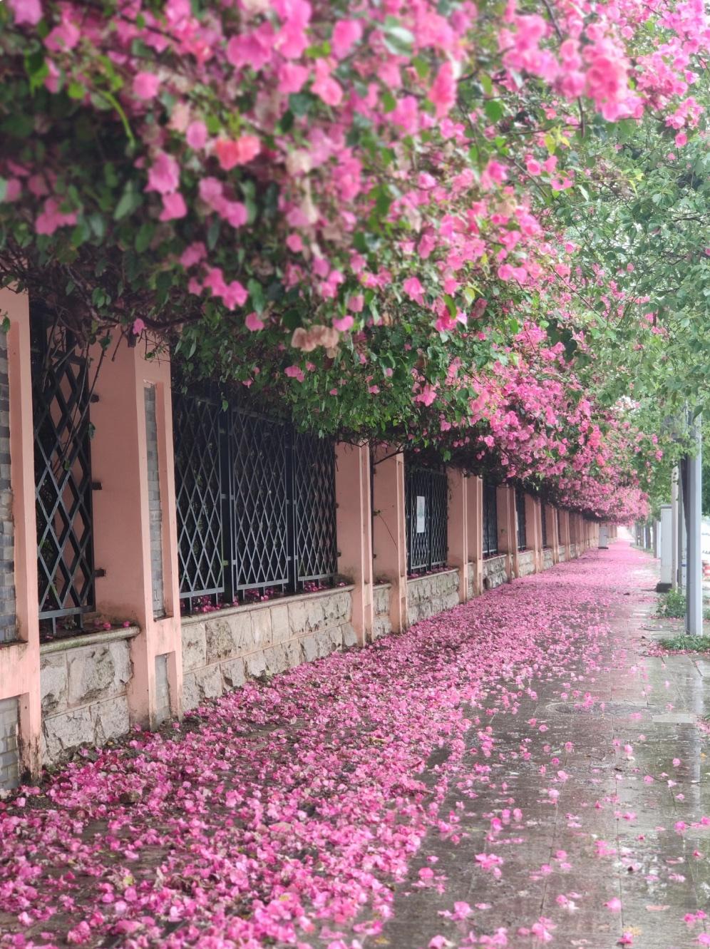 上联：花落春将尽
下联：荷开夏风来