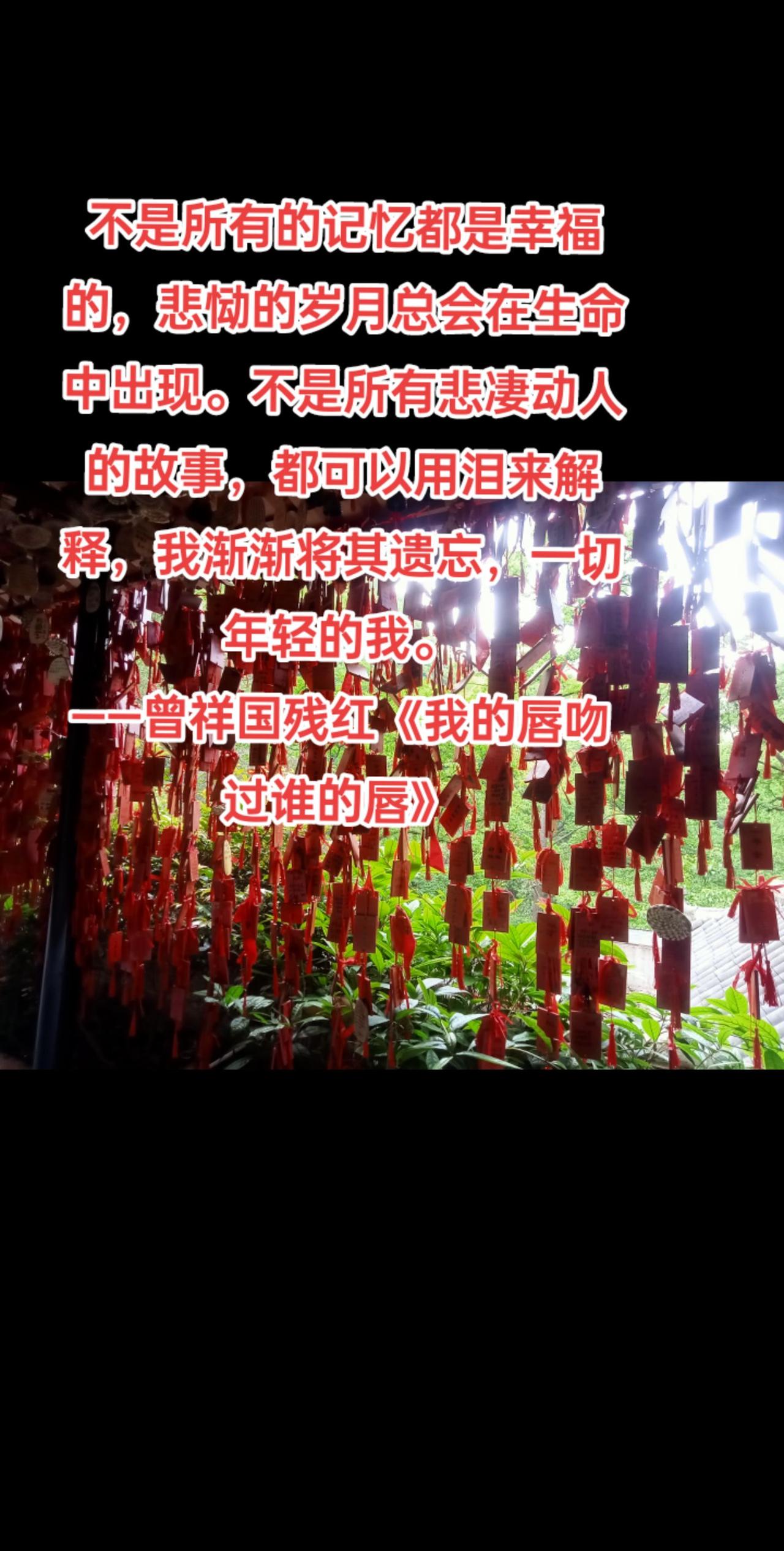 不是所有的记忆都是幸福的，悲恸的岁月总会在生命中出现。不是所有悲凄动人的故事，都