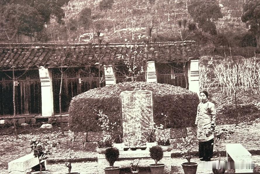 吴芝瑛，安庆桐城人。原名紫英，号万柳夫人，为桐城硕儒吴汝纶的堂侄女，19岁嫁无锡