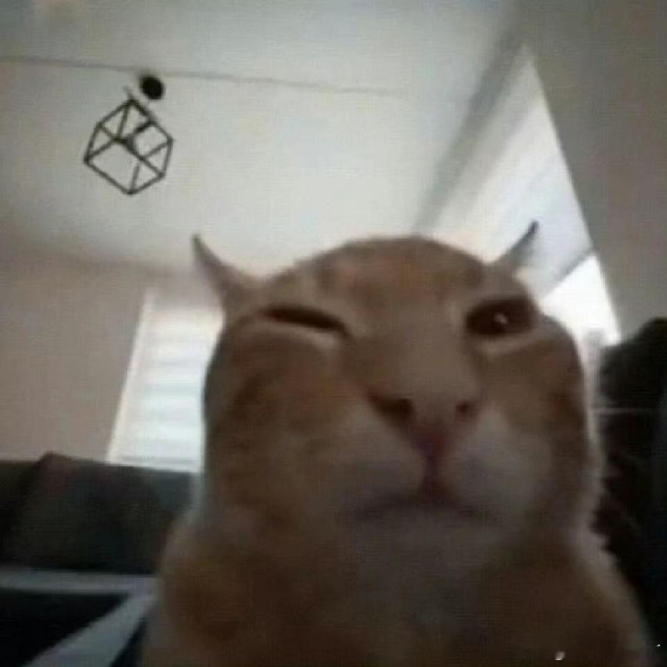 我以为的惊蛰无声是谍影重重边境杀手那种肃杀阴寒沉凝的气氛，emo拍的是几个人疑神